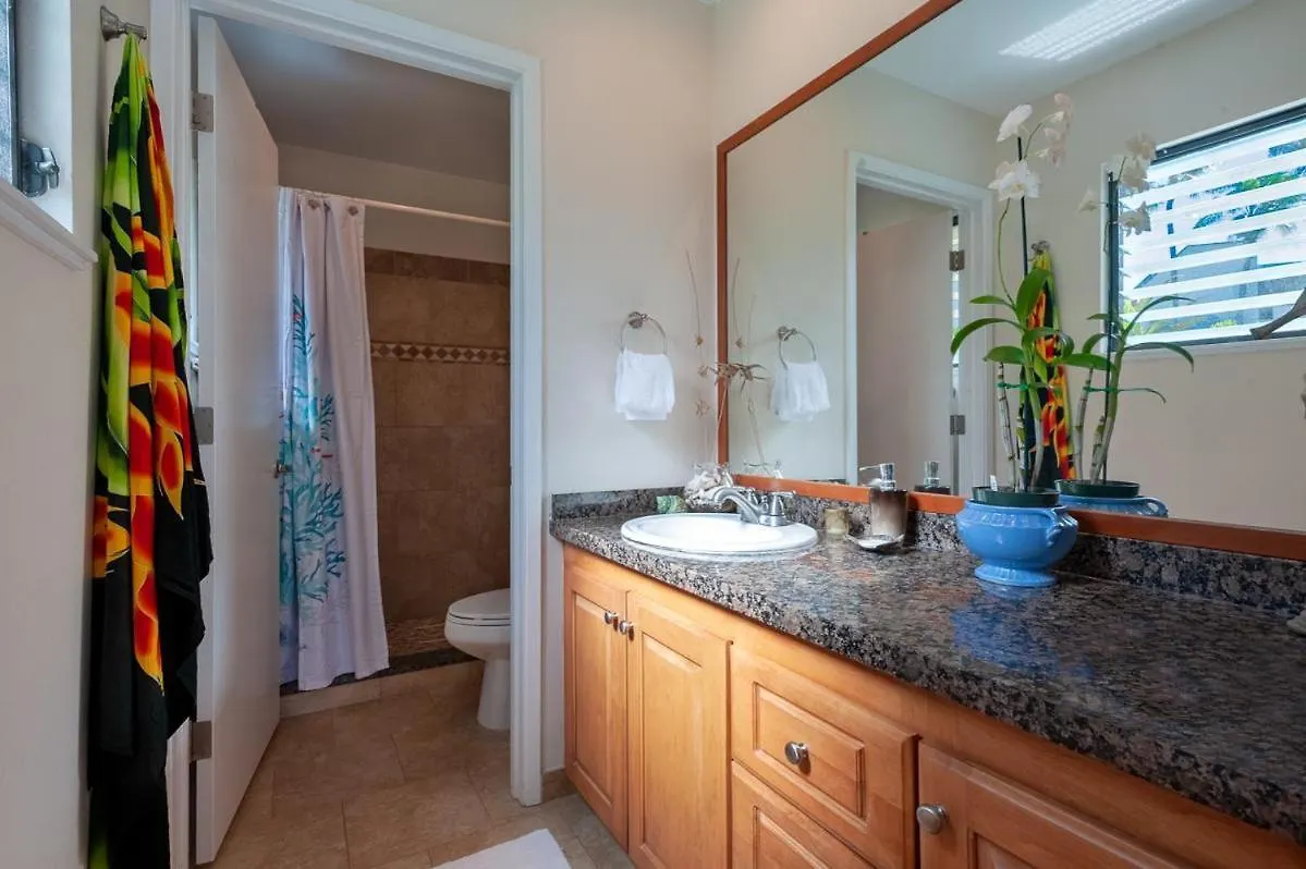 Hanalei Bay Villa 26 普林斯维尔