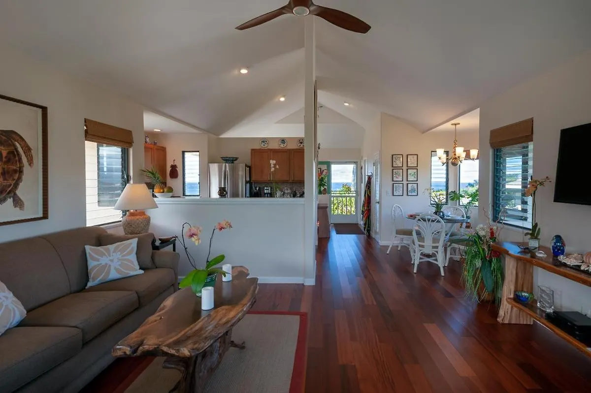 Hanalei Bay Villa 26 普林斯维尔 美国